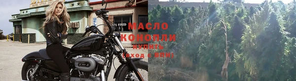 прущие грибы Лагань