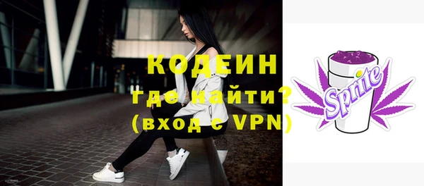 дмт Лабытнанги
