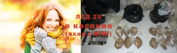 прущие грибы Лагань