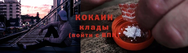прущие грибы Лагань