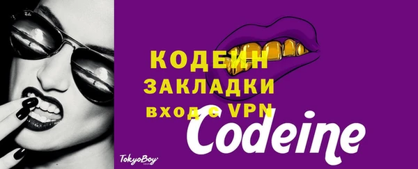 дмт Лабытнанги