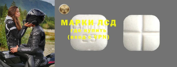 прущие грибы Лагань