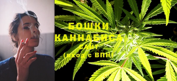 дмт Лабытнанги
