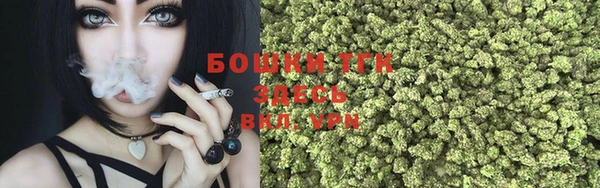 прущие грибы Лагань